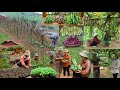 TIMELAPSE: 100 DAYS FROM START TO FINISH | Land preparation, planting, care and harvesting