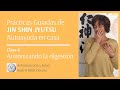 Armoniza tu DIGESTIÓN física -mental- emocional con Jin Shin Jyutsu (práctica min. 25:00).