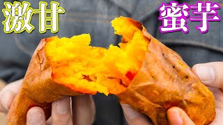 【絶品】激甘の焼き芋！品川やきいもテラスに行ってみた！