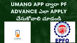 How to apply for  epfo advance in UMANG app on Telugu |UMANG app EPFO service| #trending #2024