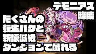 【パズドラ】たくさんの転生ハクと戯れるデモニアス降臨（壊滅級）