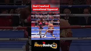 Terence Crawford highlights #fight #boxing #mayweather #canelo