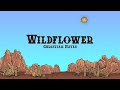 Christian Hayes - Wildflower (Lyrics)