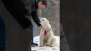 The bear cub was badly hurt by a branch, but the man bravely saved him #youtubeshorts