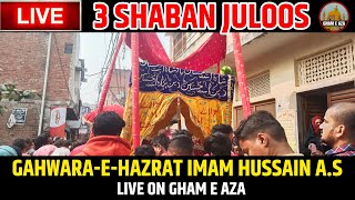 🔴 Live 3 shaban juloos jhoola imam Hussain a.s kazmain to dargah Hazrat Abbas lucknow 2025