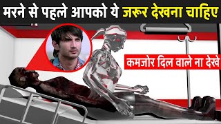 मरने से पहले आपको ये वीडियो जरूर देखना चाहिए | You Must Watch This Before You Die | Fact Mantra