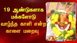 19 ஆண்டுகளாக மக்களோடு வாழ்ந்த காளி என்ற காளை மறைவு | Madurai | bull | News 7 Tamil