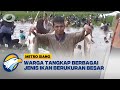 Ratusan Warga Gelar Tradisi Bekarang Saat Masuk Musim Kemarau di Jambi [Metro Siang]