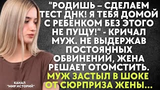 Родишь - сделаем тест ДНК! Я вас домой без этого не пущу! - но муж застыл в шоке от сюрприза жены...