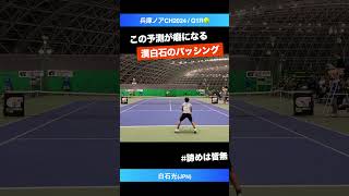 #癖になるパッシング【兵庫ノアCH2024/Q1R】白石光(JPN) #shorts #テニス #tennis