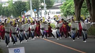 彩夏祭2022 ～ 夏舞徒