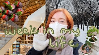 a week of my life in seoul, korea VLOG | libraries, snow, and my apartment