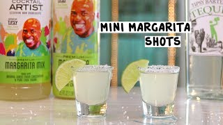 Cocktail Artist Mini Margarita Shots - Tipsy Bartender