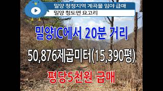 n735, 밀양 청도면 요고리 계곡 임야 50,876제곱미터(15,390평) 급매, 평당5천원, 문의:010-4750-7880 #밀양땅 #밀양토지 #밀양임야