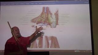 Anatomy of head \u0026 neck 63 ( Scalene muscles , part 1 ) , by Dr. Wahdan