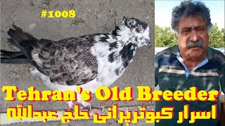 گنجه کبوتران و تکنیک کبوتربازی گروی حاج عبدالله زواره کوهی TEHRANI HIGHFLYER BREEDER'S PIGEONS HOUSE