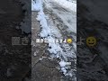 除雪ありがとうございました　置き土産は仕方ないですよね　 新潟市西区積雪