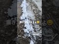 除雪ありがとうございました　置き土産は仕方ないですよね　 新潟市西区積雪