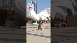 amazing rooster #shorts #viral #funny #yt