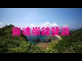 斷魂嶺鐘聲淚【夏威夷情調國台語輕音樂】