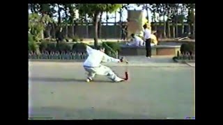 Classical Pigua Zhang 劈挂拳