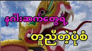 နဂါးဆက်တွေဟာဒီအချက်တွေတူကိုတူညီပါတယ်