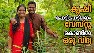 വേസ്റ്റു കൊണ്ടിതാ ഒരു വിദ്യ | Kitchen Waste Farming Technique