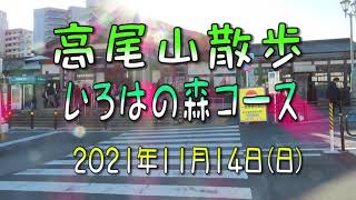 高尾山散歩　いろはの森コース　2021年11月14日（日）