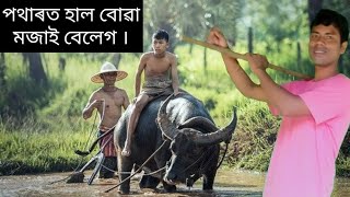 ধান খেতিৰ কেনেকৈ কৰে চাও আহক || Rice paddy