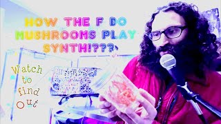 How The F Does a Mushroom Play Eurorack Modular Synthesizer? I try my best to explain