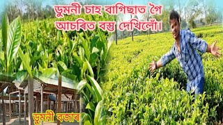 Doomni Tea garden||ডুমনী চাহ বাগিছা আৰু বজাৰ||ডুমনী চাহ বাগিছাত গৈ আচৰিত বস্তু দেখিলোঁ||#Ranjan_Vlog