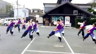 眞空羽 川棚温泉 舞龍祭