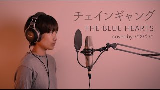 チェインギャング / THE BLUE HEARTS cover by たのうた