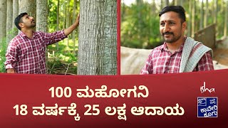 Farm Tour - ಬೃಹದಾಕಾರದ 15 ವರ್ಷದ ಮಹೋಗನಿ ಮರಗಳು ಇವರ ತೋಟದಲ್ಲಿ - ಅಖಿಲ್ (ಭಾಗ - 3)