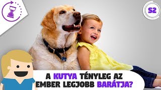 A Kutya tényleg az ember Legjobb barátja? - Van egy perced? #Season2