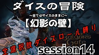 【全選択肢ダイス縛り】ダイスの冒険～すべてはダイスのままに～　session14【幻影の壁】