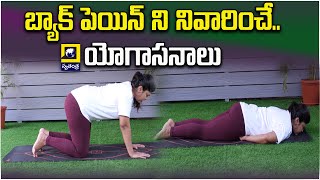 YOGA : బ్యాక్ పెయిన్ ని నివారించే యోగాసనాలు || లక్ష్మి, యోగా ట్రైనర్ ||