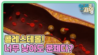 뇌졸중을 부르는 콜레스테롤?! 너무 낮아도 문제다? 적당한 수치를 알아야 하는 이유! MBN 230613 방송