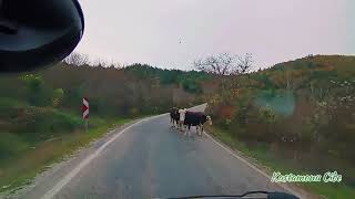 Kastamonu Cide sahil yolu