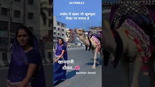 राजस्थानी संस्कृति 🥰 हमारी पहचान 🐪#देवासी #भजन #desibhajan #shortsfeed #marvadisongs #rajasthani