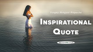 How to Stay Calm All the Time | Inspirational Quote | Joyful Wisdom - Yongey Mingyur Rinpoche