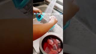 చేపని🐟ఇలా శుభ్రం చేయడం ఎప్పుడైనా చూసారా?Fish cleaning Process with Grater#fishcleaning #food #like