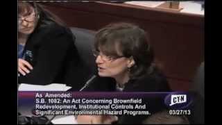 State Rep. Cecilia Buck-Taylor voices concerns over brownfields bill