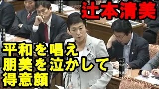 国会 辻元清美vs稲田朋美防衛大臣『何で靖国参拝せずにジブチ行ったん？』下品なフルボッコ虐めに激怒の涙目！最新面白国会中継