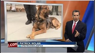 REDDI—Regional Explosives Detection Dog Initiative