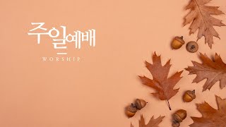 [주일예배 1부] 20241027 오직 은혜를 (엡 1장 6절, 4장 29절) 홍석진 목사