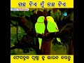 ବିଶ୍ୱ ପରିବେଶ ଅବସରରେ... ନିଶ୍ଚୟ ଦେଖନ୍ତୁ.. ବନମାଳୀ ସାହୁ ପାଟଣାଗଡ଼ 9337066764