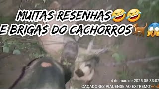 @cacadorespiauienseaoextrem7247 Mais uma caçada bem sucedida e muita resenha💥🤣