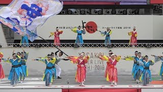 2019年[4K] 風神 (富山県)･第21回よさこい全国大会･中央公園