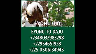 ÌWÚLÒ EWE LAPALAPA FUN FUN PELU ÒWU FUN EYONU TODAJU, +2348032983298, +22954651928, +2250584811131